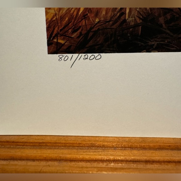 801/1000 David Wright’s 1998 Patrick Cleburne Print only - Picture 2 of 3